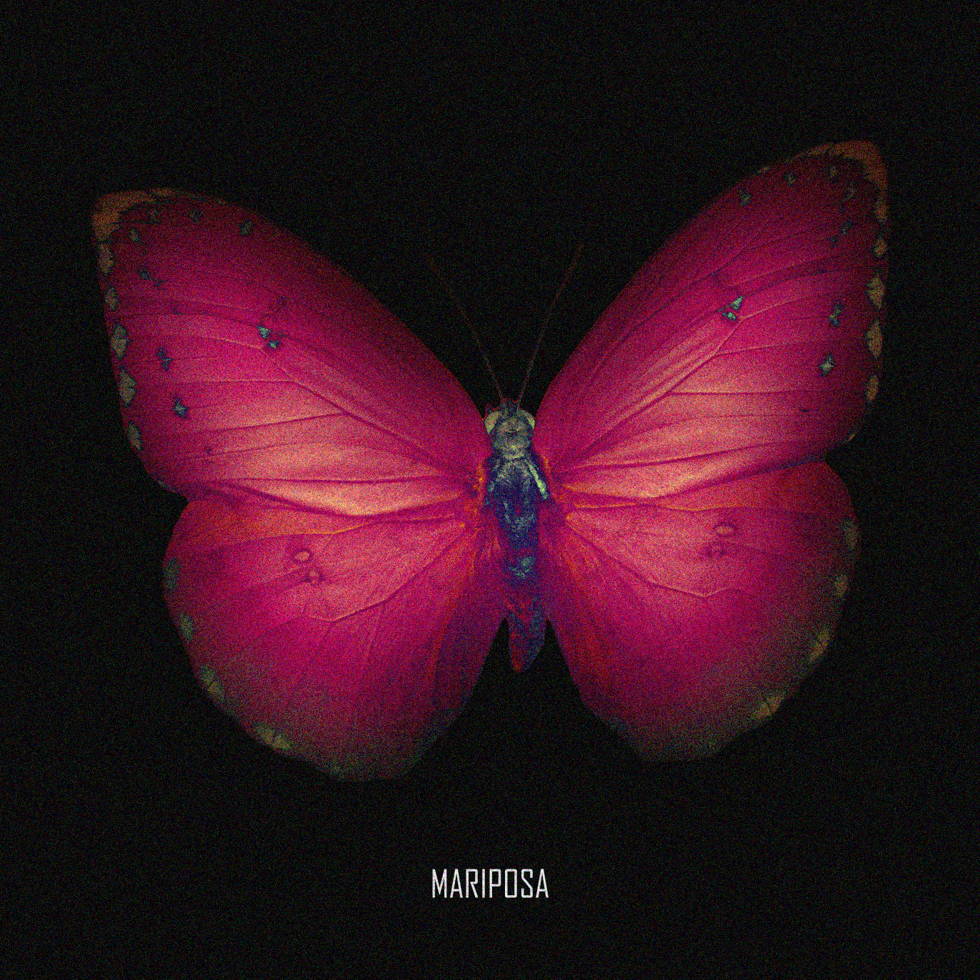 Project Mariposa
